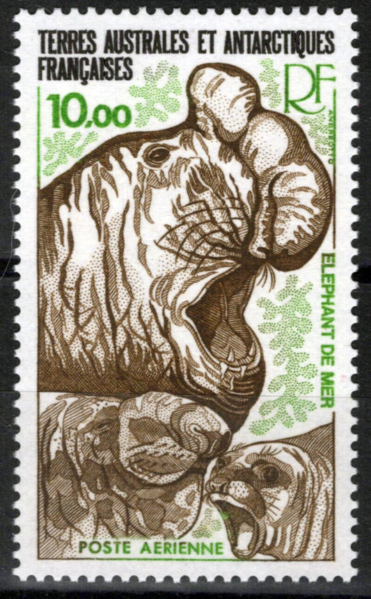 ZAYIX FSAT TAAF C54 MNH Air Post Marine Life Elephant Seals Antarctic 061923S84M