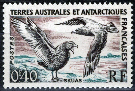 ZAYIX FSAT TAAF 13 MNH Birds Skua Antarctic Polar Marine Life 061923S119M