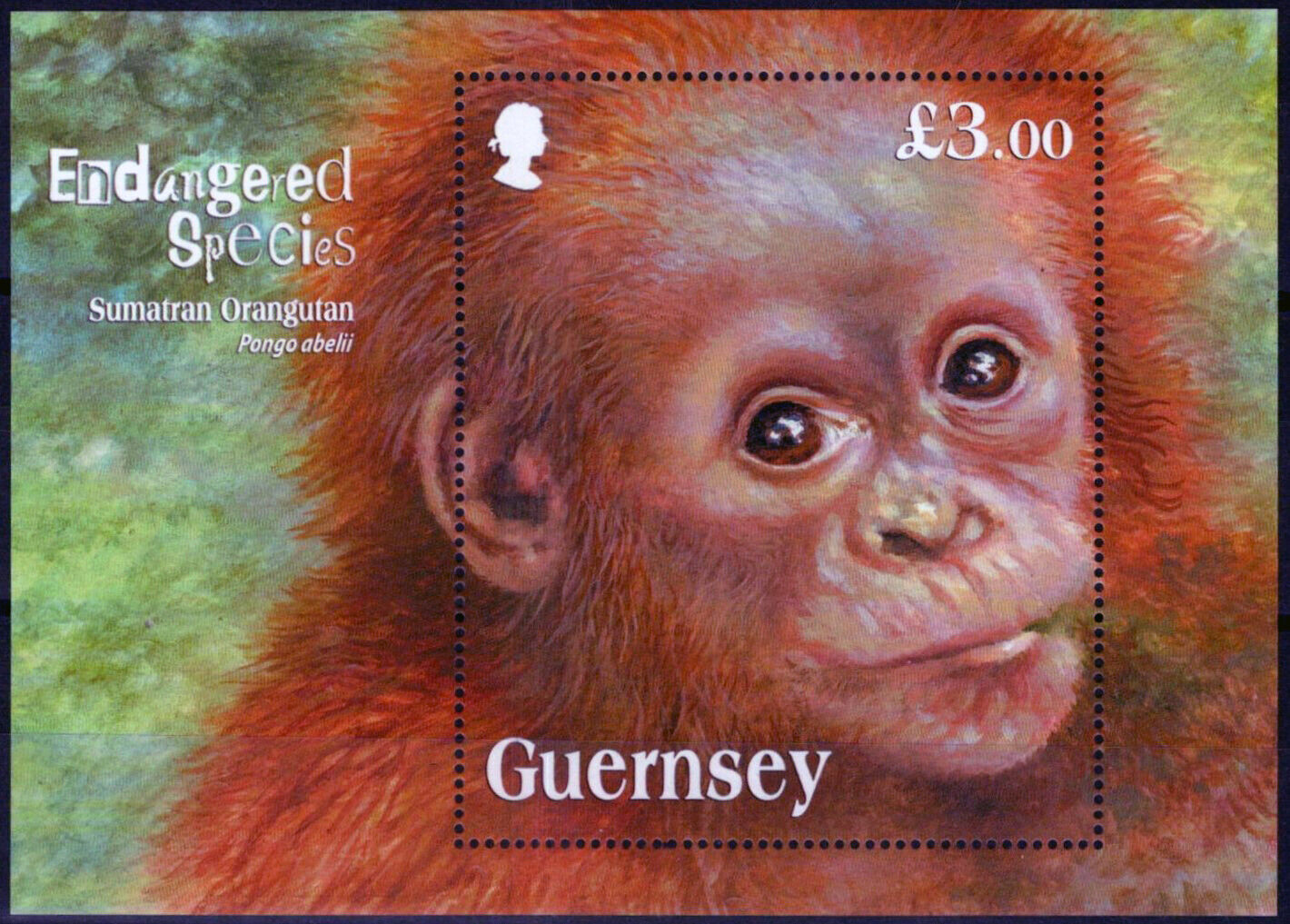 ZAYIX Guernsey 1246 MNH Wildlife Endangered Species Orangutan 080323SM87M