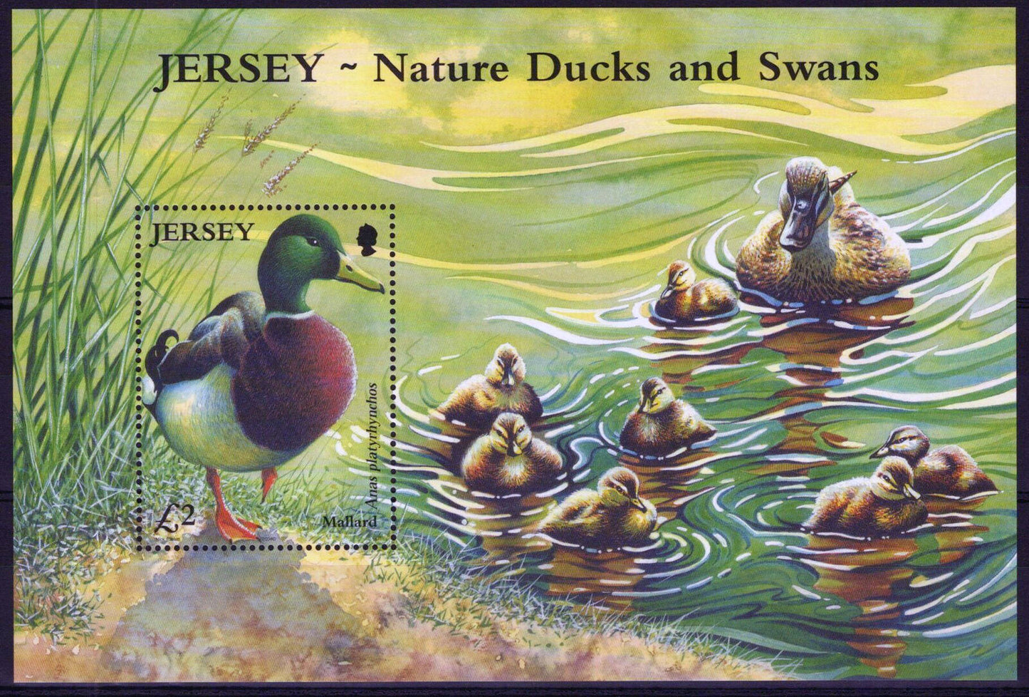 Jersey 1122 MNH Birds Ducks Waterfowl 092023SM43