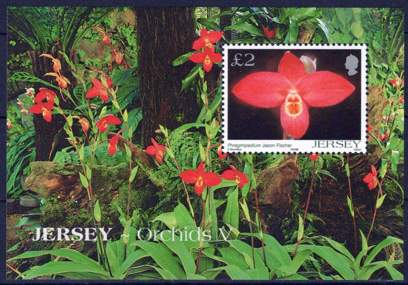 ZAYIX Jersey 1129 MNH Orchids Flowers Nature Plants 092023SM45M