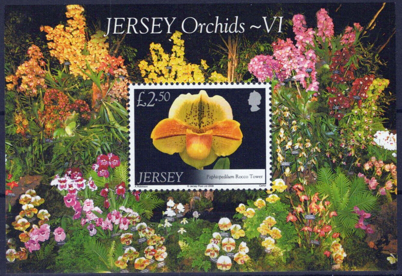 Jersey 1325 MNH Orchids Flowers Plants Nature 092023SM73M